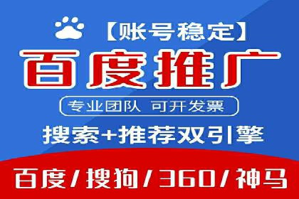 谷歌竞价广告与SEO结合的营销案例解析